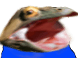 frog surprised open mouth Slack emoji