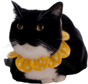catcatcatq Slack emoji