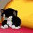 catsassq Slack emoji