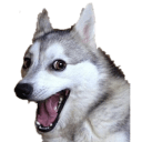 pun dog Slack emoji