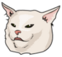 confused cat Slack emoji