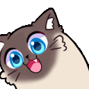 cat blue eyes happyq Slack emoji