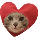 heartcatq Slack emoji