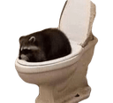 raccoontoiletq Slack emoji