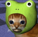 catfroggy q Slack emoji