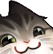 cat h Slack emoji
