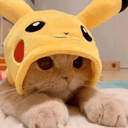 cute catpikaq Slack emoji