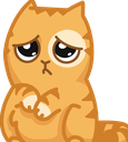 catpleaseq Slack emoji