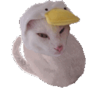 hunting cat beanq Slack emoji