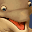 dolphin q Slack emoji