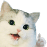 good catq Slack emoji