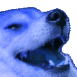 blurplekekq Slack emoji