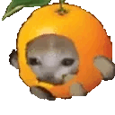 orangecatrun Slack emoji