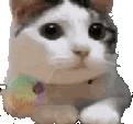 animatedcatno01 Slack emoji