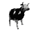 dancing cow animated Slack emoji