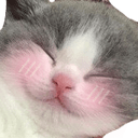 catsmileblushq Slack emoji