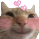 cc cat lovehappyq Slack emoji