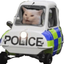cat policeq Slack emoji