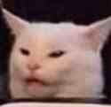 cat and vegetables Slack emoji