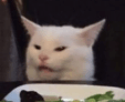 cat confused Slack emoji