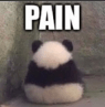 panda painq Slack emoji