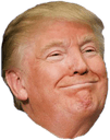 trumphappy1q Slack emoji