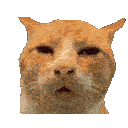 say what meow wait how Slack emoji