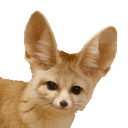 fennecq Slack emoji
