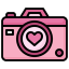 pink pictureq Slack emoji