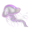 jellyfishq Slack emoji