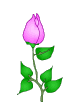 flower Slack emoji