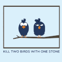 kill2birdswithonestone Slack emoji