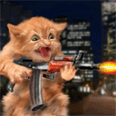 catassaultq Slack emoji