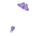 butterfly cuteq Slack emoji