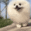 fluffy ballq Slack emoji