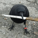 knifecrowq Slack emoji