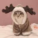 catmooseq Slack emoji