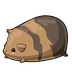 guinea pig q Slack emoji