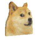 doge alert Slack emoji