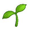 plantgrowq Slack emoji
