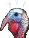 confused turkeyq Slack emoji
