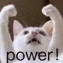 catpowerq Slack emoji