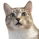 bmo dreamies Slack emoji