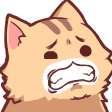_cat_ewq