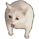 white cat curious stretch Slack emoji