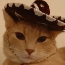 cowboyyeehaawq Slack emoji