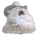 cowboy catq Slack emoji