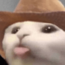 cato cowboyq Slack emoji