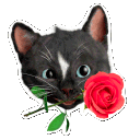 roseq Slack emoji