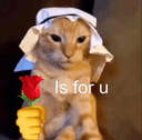 halal roseq Slack emoji